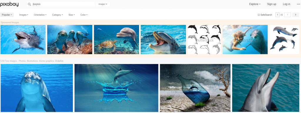 Dolphin search results pixabay